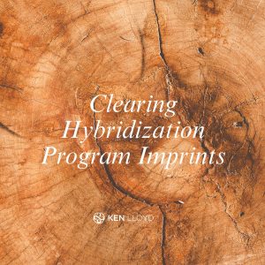 light language healing process in South Africa