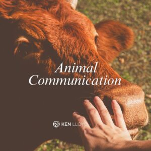 energy healing for emotional release with Ken Lloyd Wellington