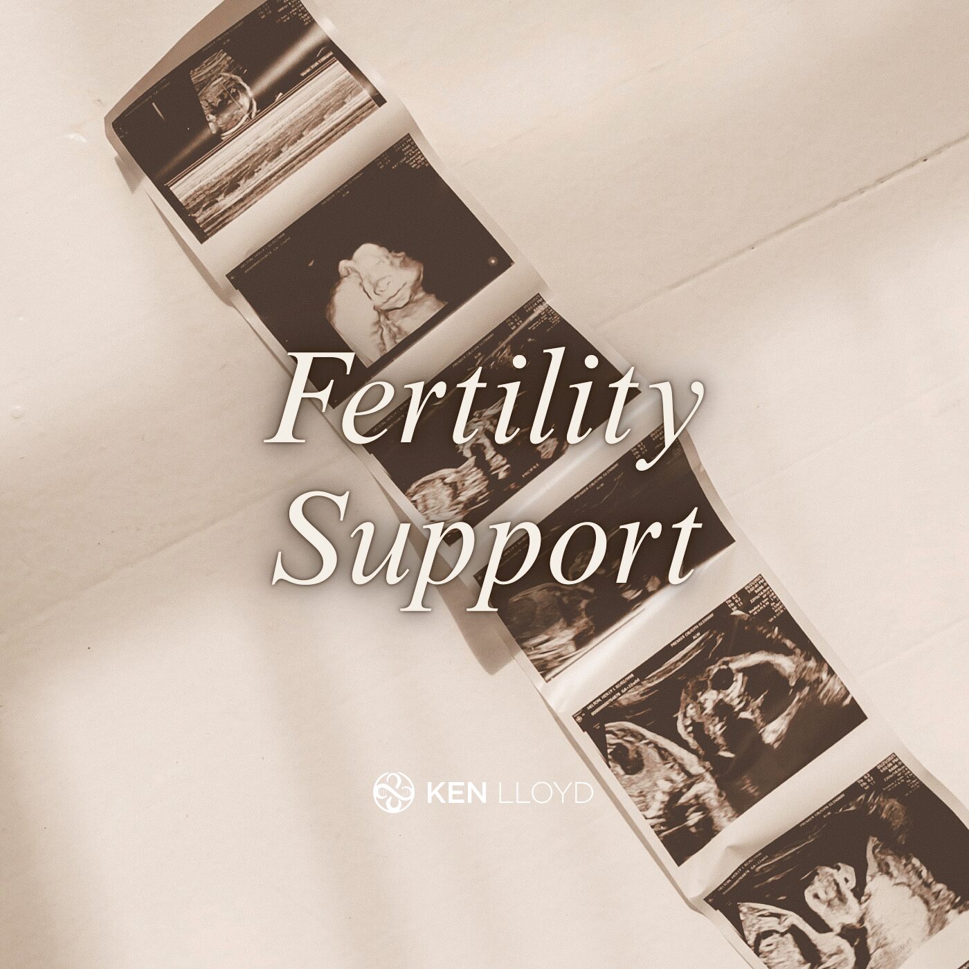 Fertility support