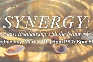 SYNERGY: Conscious Relationship with the Natural World