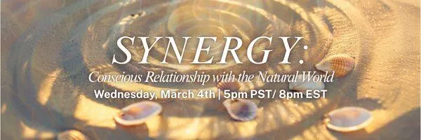 SYNERGY: Conscious Relationship with the Natural World