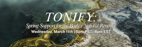 Tonify: Spring Renewal Support for the Body | Ken Lloyd Official - The ...
