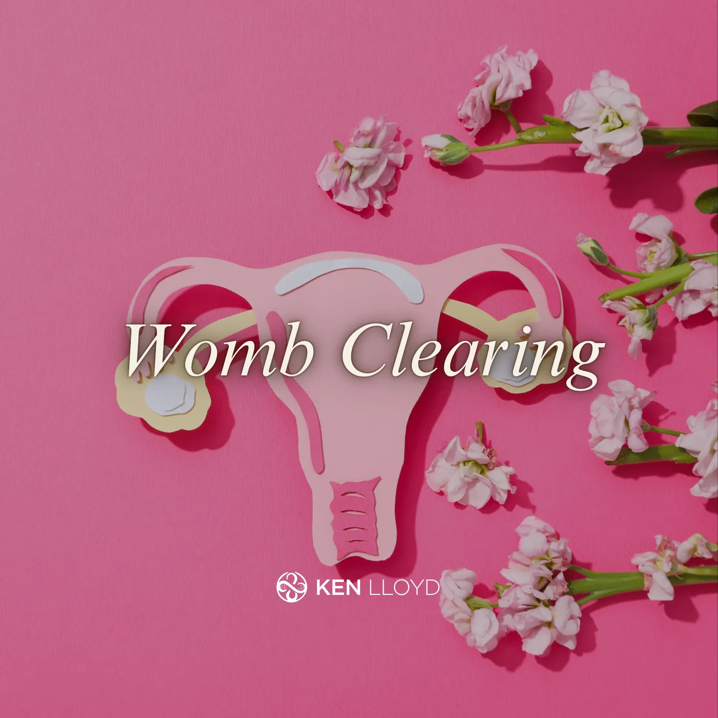 Womb Clearing Including Physical, Emotional, Mental and Stored Trauma | Ken Lloyd Official | The Evolutionary Human